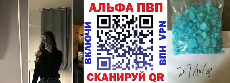 A PVP СК Камышин