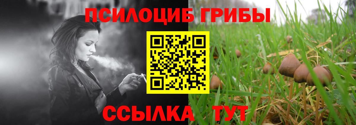 Камышин  Галлюциногенные грибы ЛСД  Галлюциногенные грибы GOLDEN TEACHER  Вход с VPN 