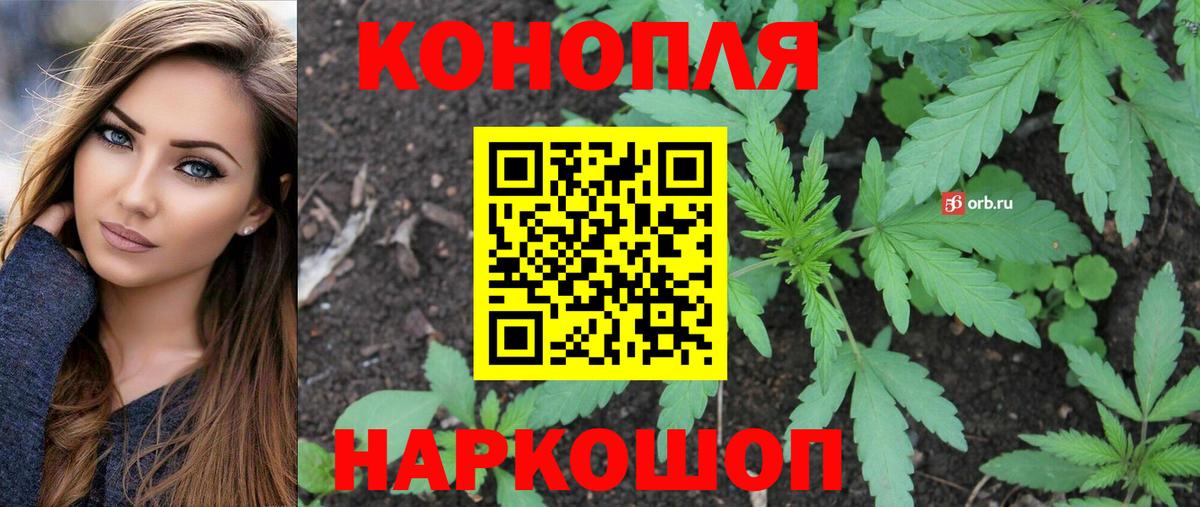 Бошки марихуана сатива  Каннабис ГИДРОПОН  Вход с VPN  Каннабис сатива  Камышин  Каннабис гибрид 